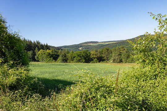 Rural meadow surrounded by forest and rolling hills in southern Germany