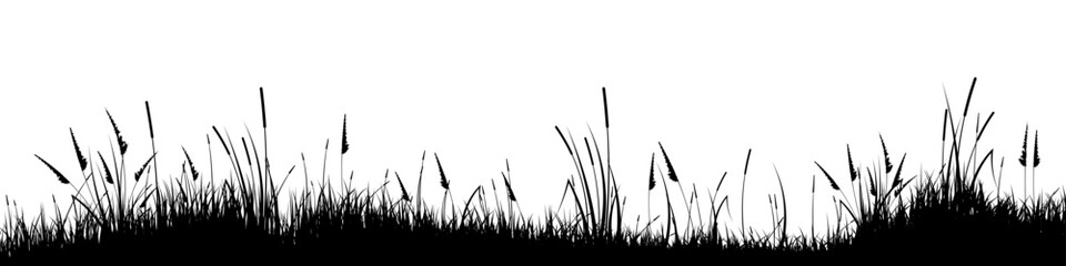 Obraz premium Meadow silhouette with grass, plants on plain. Panoramic summer lawn landscape with herbs, various weeds. Herbal border, frame element. Black horizontal banners. Vector illustration
