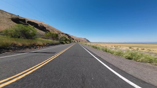 Volcanic Legacy Scenic Byway Tule Lake Northbound Mormon Crickets Swarming 02 Front View Driving Plates California USA Ultra Wide