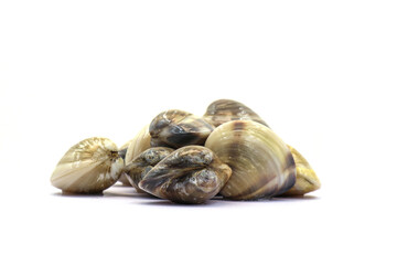 Closed up fresh baby clams. venus shell. shellfish. carpet clams. Food from nature. as raw food from the sea are the seafood ingredients. fresh clams isolated on white background © Pisan