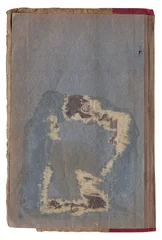 Vintage background of old ancient torn paper texture isolated © darkbird