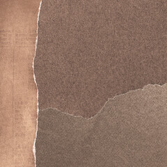 Fototapeta premium Textured torn paper background with copy space