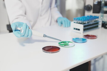 Fototapeta premium A wide-angle laboratory tabletop view featuring three petri dishes with different colored solutions (red, green, blue), with a researcher working and a laptop open for real-time data entry.