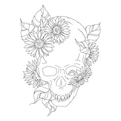 Obraz premium Floral skull top view line art