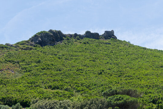 Tour de Catellare vue de Pietracorbara sur le Cap Corse - Haute-Corse - France