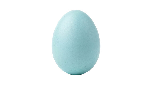 Single blue robin egg, a symbol of new life and the arrival of spring.