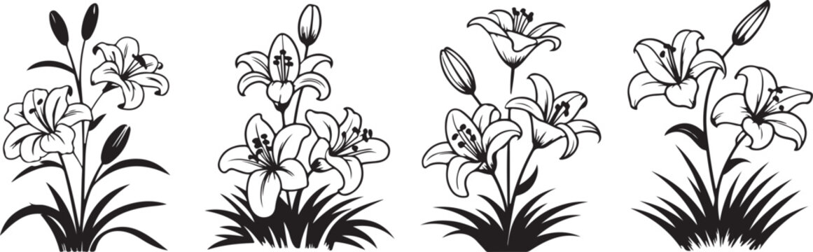 Set of four distinct lily flower arrangements featuring botanical line art elements and elegant floral clusters for natural decors.