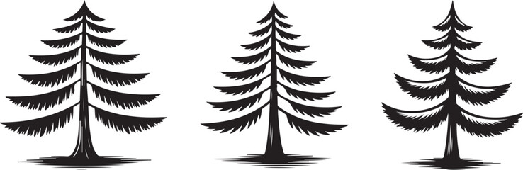 Three evergreen coniferous trees silhouettes in black ink drawing style isolated on transparent background for nature creative concepts. © Kamrun82