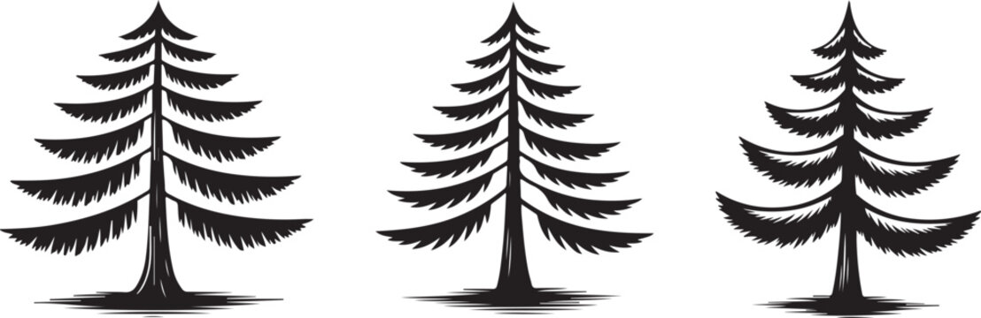 Three evergreen coniferous trees silhouettes in black ink drawing style isolated on transparent background for nature creative concepts.