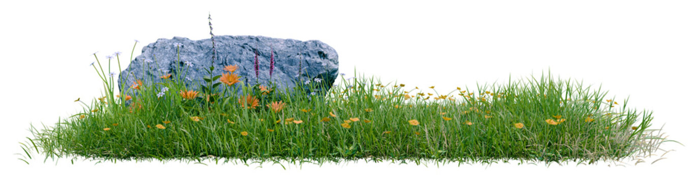 Isolated green grass field with rock stone, PNG transparent, 3d illustration rendering