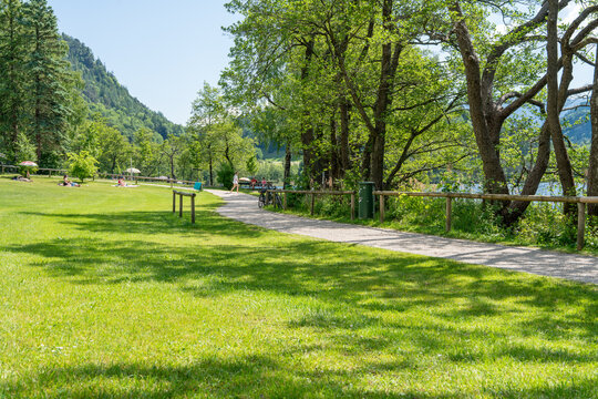 Liegewiese am Thumsee bei Bad Reichenhall