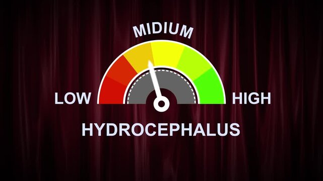 A conceptual gauge with a needle pointing to the mid-range, labeled LOW", MIDIUM", and HIGH" with color-coded segments, indicating a HYDROCEPHALUS" level text or word low and medium to high meter...