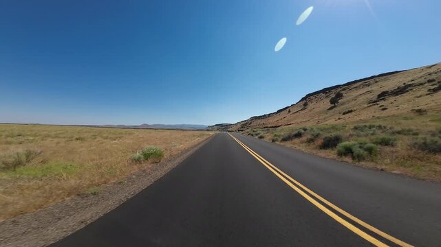 Volcanic Legacy Scenic Byway Tule Lake Northbound Mormon Crickets Swarming 03 Rear View Driving Plates California USA Ultra Wide