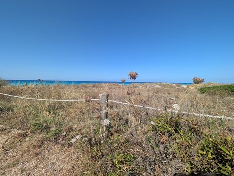 Son Bou Minorque, Minorca, Bal&eacute;ares, Espagne