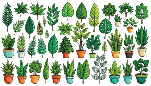 Variety of Potted Houseplants and Foliage.