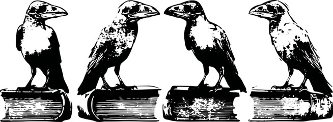 Obraz premium four black birds perched on old books in vintage monochrome illustration