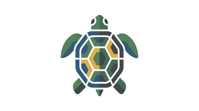 Colorful turtle shell close up.
