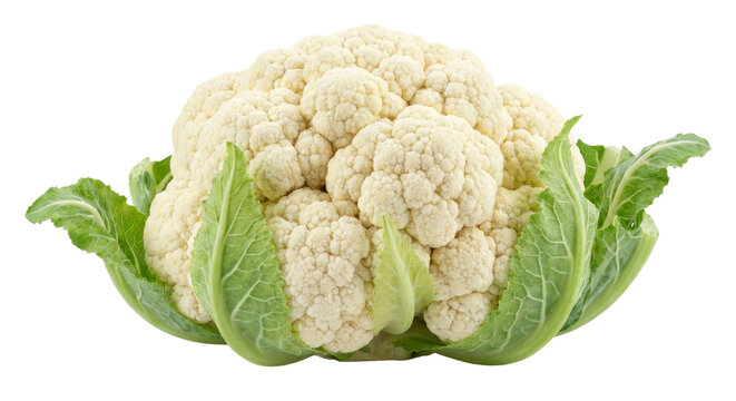 Fresh cauliflower with vibrant green leaves on a white background