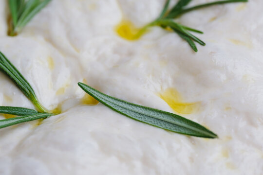 Fresh dough with herbs ready for baking in a kitchen setting. Concept traditional bread making, homemade baking, and natural leavening techniques