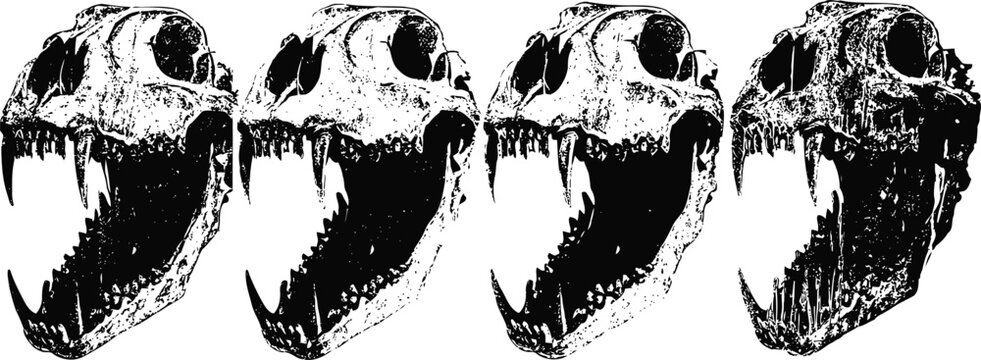four black and white dinosaur skulls side view with open jaws, prehistoric reptile fossils illustration