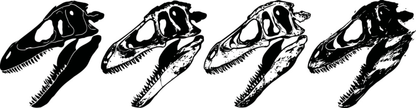 Evolution of dinosaur skulls black and white silhouettes showing progressive changes in skull shape and size over time