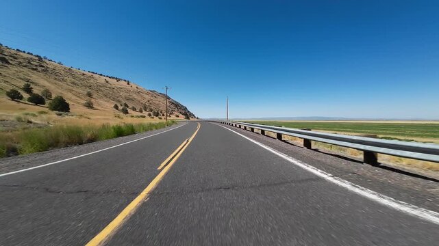 Volcanic Legacy Scenic Byway Tule Lake Northbound Mormon Crickets Swarming 04 Front View Driving Plates California USA Ultra Wide