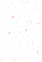 Obraz premium 背景素材_花吹雪_白背景