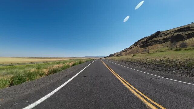 Volcanic Legacy Scenic Byway Tule Lake Northbound Mormon Crickets Swarming 04 Rear View Driving Plates California USA Ultra Wide