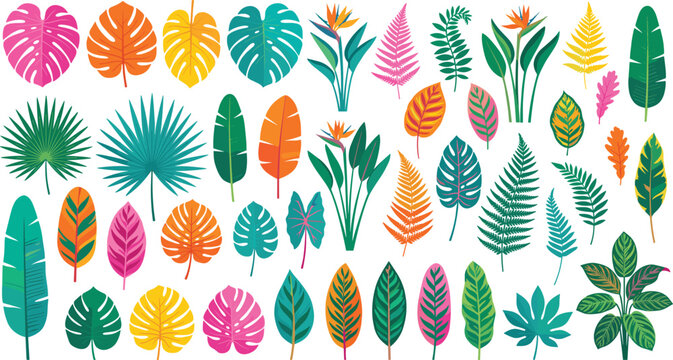 Colorful Tropical Leaves and Flowers Vector Element Set with Monstera Palm Fronds and Bird of Paradise for Exotic Summer Background Designs