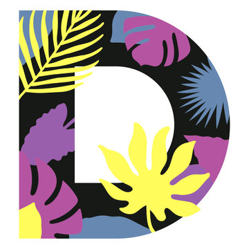 D flat summer monogram