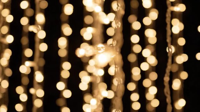 An enchanting display of warm twinkling fairy lights creates a cozy atmosphere, illuminating the space with a soft glow that enhances the ambiance of any setting.