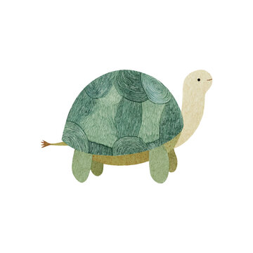 Illustrated green turtle with patterned shell walking.