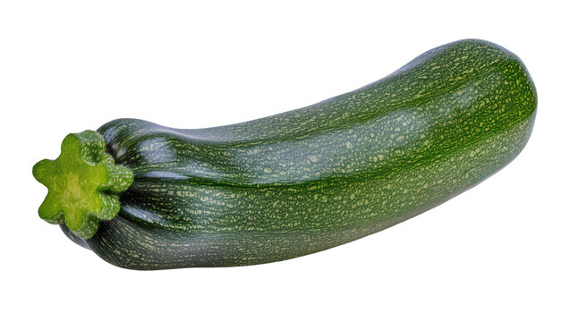 Green zucchini with speckled skin and star-shaped stem
