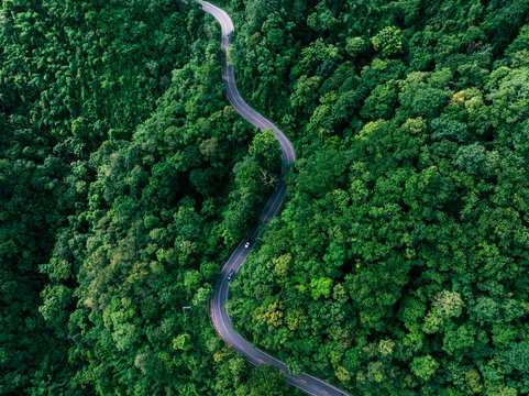 Scenic forest road with cars representing environmentally friendly transport and long term green investment strategies.