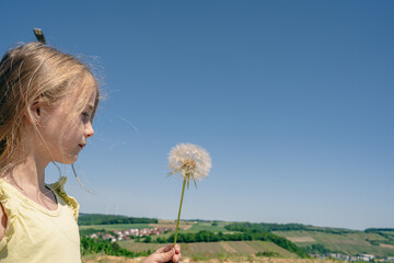 Profile of little girl looking at a large dandelion puffball, conceptual shot for child mindfulness environment protection and future wishes © alaa