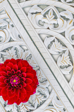 Red flower rests on a white patterned table during the daytime in a garden setting with natural light