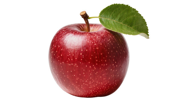 Red apple with stem and green leaf