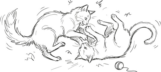 cat playing.eps © Munmun