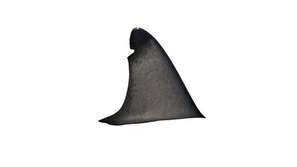 Fototapeta premium Shark fin dorsal fin ocean predator