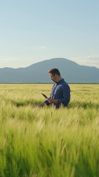 Agronomist checking green barley ears with tablet in rural landscape