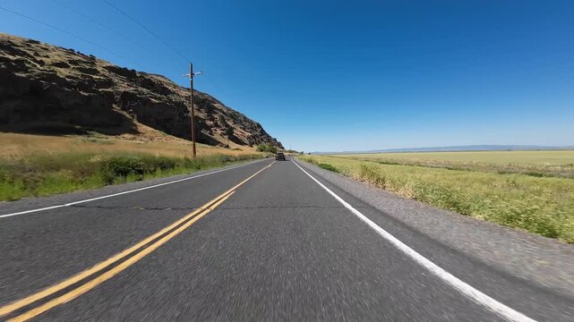 Volcanic Legacy Scenic Byway Tule Lake Northbound Mormon Crickets Swarming 05 Front View Driving Plates California USA Ultra Wide