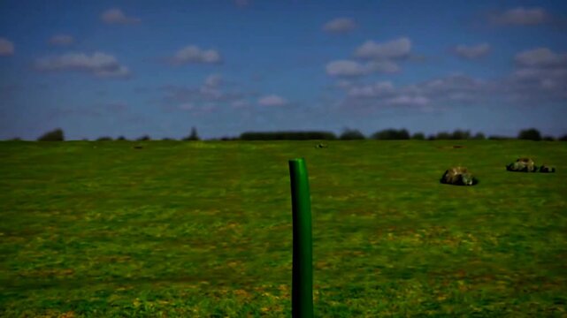3D animation showing guttation process with water droplets released from leaf hydathodes.