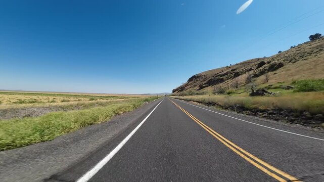 Volcanic Legacy Scenic Byway Tule Lake Northbound Mormon Crickets Swarming 05 Rear View Driving Plates California USA Ultra Wide