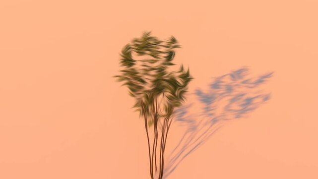 Abstract motion of a lone tree with a dancing shadow against a warm, soft background, symbolizing natures movement and ephemerality.