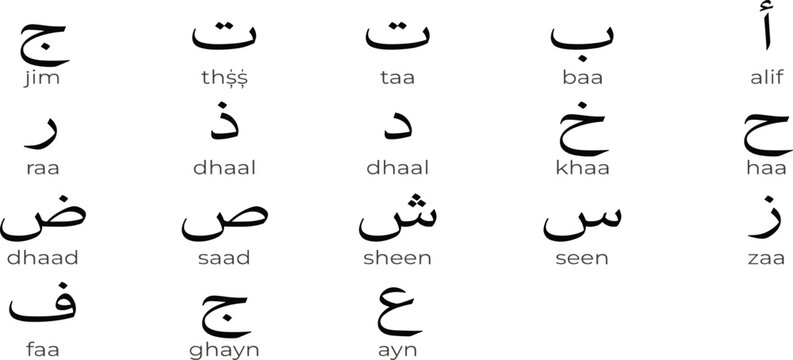 Arabic alphabet vector educational poster chart featuring basic letters with transliteration phonetic text for learning guide