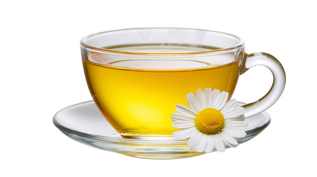 Clear glass cup of herbal tea with chamomile flower on saucer