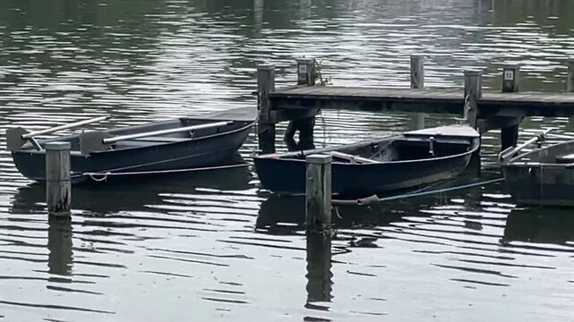 boats in the harbor