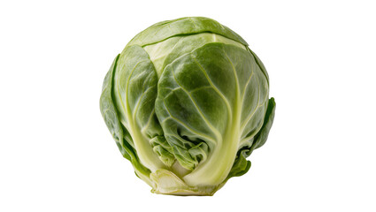 Fototapeta premium Fresh green Brussels sprout vegetable close-up