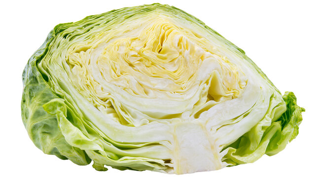 Half head of fresh green cabbage cut showing layered leaves and core