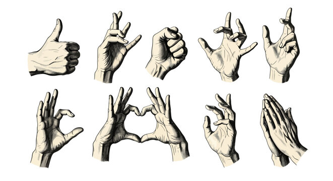 Vintage hand gestures vector set, engraved human hand illustrations, 10 antique style hand signs including thumbs up and heart shape for retro design